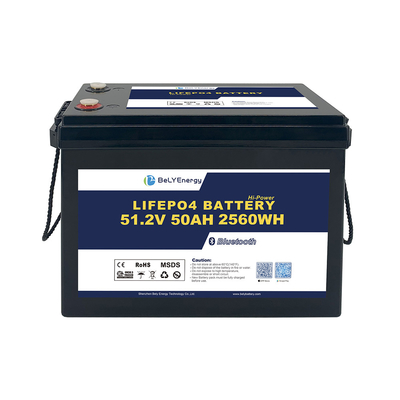 Buy Bely Energy Safe And Reliable 48v 50ah Lifepo4 Battery Pack For Consumer Electronics EV online manufacture