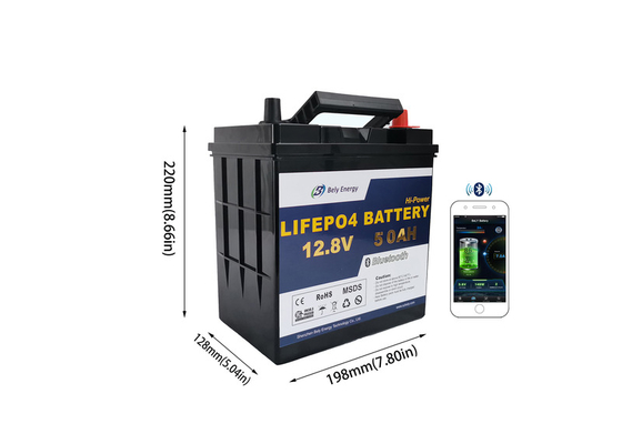 100A Maximum Continuous Discharge Current Rechargeable LiFePo4 Battery for and -20-60C Discharge Temperature